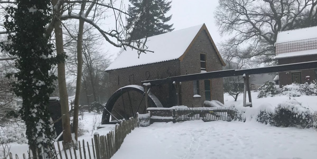 Senioren Middelaar & Plasmolen